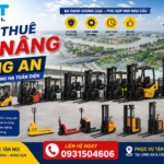 Cho thuê xe nâng Long An – Giá tham khảo, xe nâng Forklift & xe nâng tay