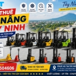 Cho thuê xe nâng Tây Ninh – Giá tham khảo, các loại xe và kinh nghiệm lựa chọn