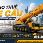 Cho thuê xe cẩu đa tải trọng, phục vụ mọi công trình-TTTT Global